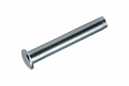 Domehead-terminal groot voor 4mm draad
