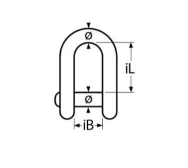 RVS D-sluiting met torx pen &Oslash;5mm