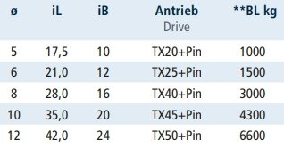 RVS D-sluiting met torx pen &Oslash;10mm