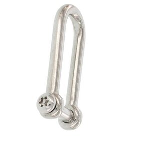 RVS D-sluiting 5mm lang met torx pen