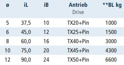 RVS D-sluiting 8mm lang met torx pen