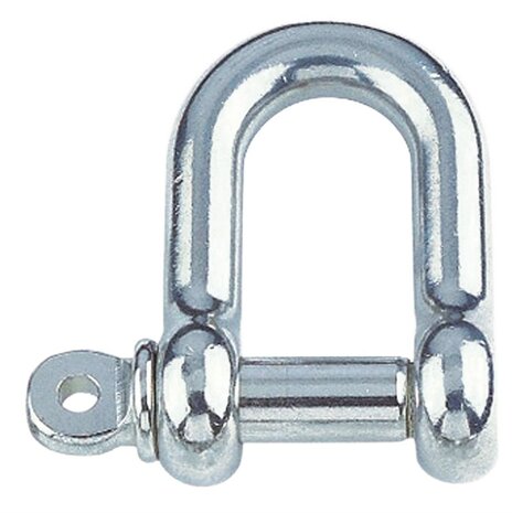 RVS D-sluiting 3mm kort